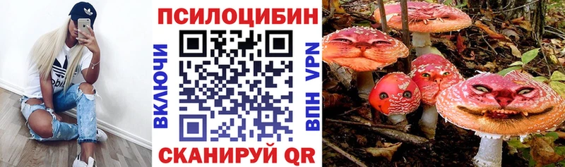Псилоцибиновые грибы Psilocybe  ссылка на мегу ссылка  Новосибирск 